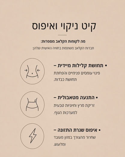 קיט ניקוי ואיפוס - להתנעה ופינוי עומסים