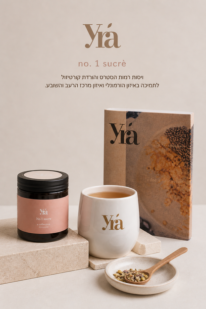 ניקוי אס קולקשיין