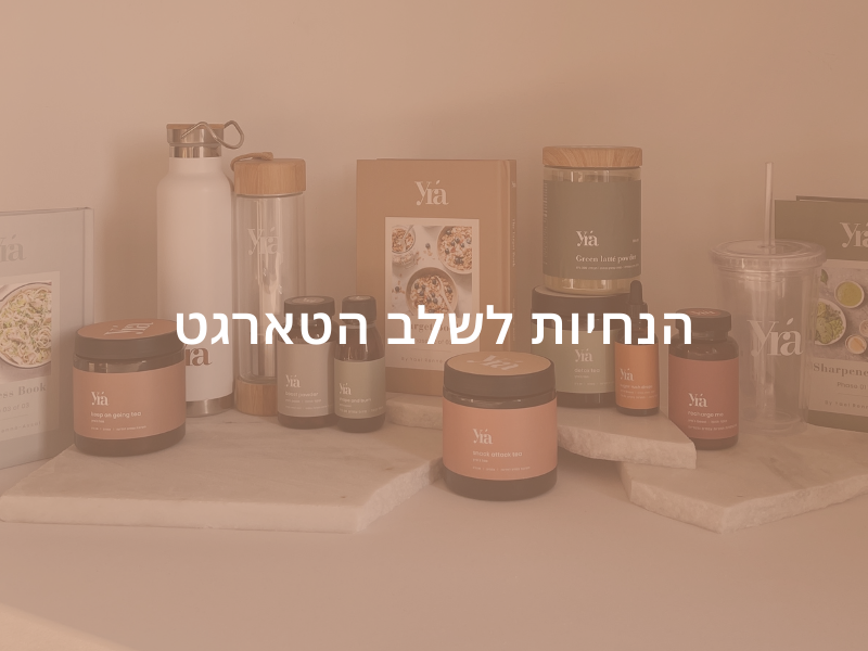 פרוטוקול והנחיות לשלב הטארגט