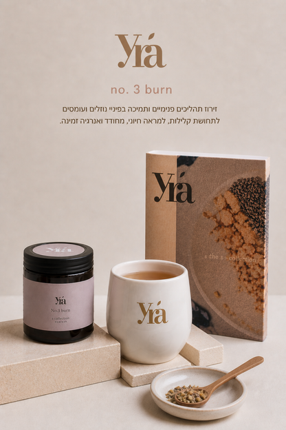 ניקוי אס קולקשיין