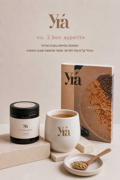 ניקוי מהיר 42 יום